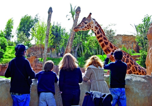 Bioparc Familia observando a las jirafas_G